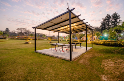 The Jungle Hut